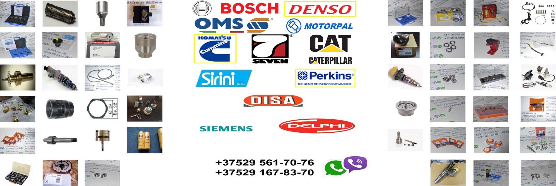 bg3
